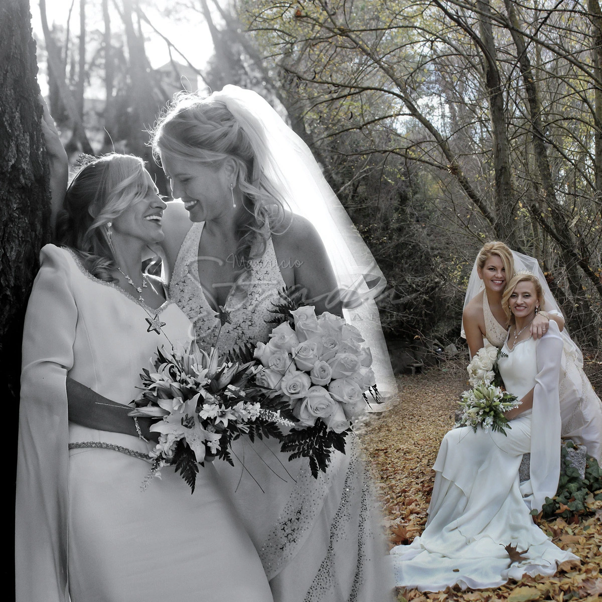 portafolio bodas36