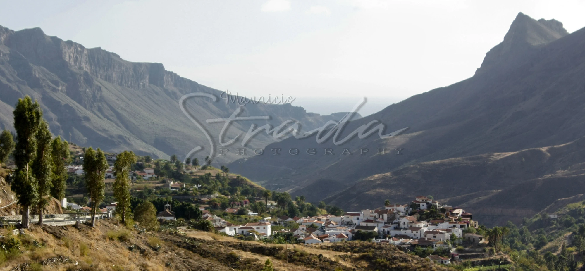paisaje molino 67