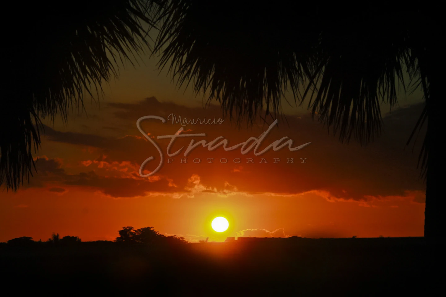 atardecer en miami
